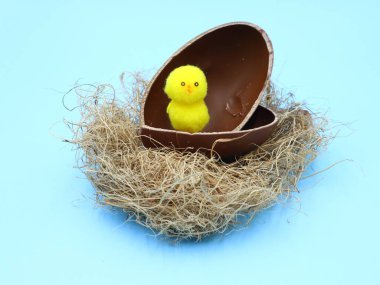 Komik bir piliçle Paskalya Kompozisyonu