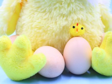 Komik bir piliçle Paskalya Kompozisyonu