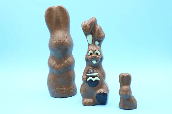 Пасхальный Шоколадный Кролик — стоковое фото