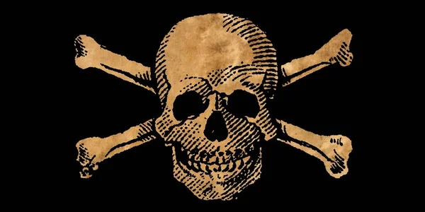 Illustration Jolly Roger Symbole Crâne Des Croisés — Photo