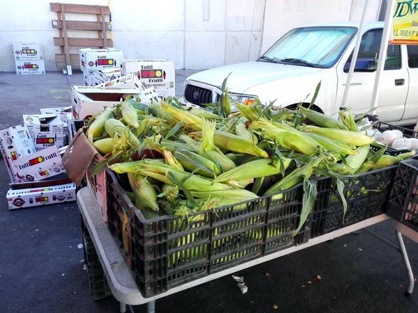Hollywood Los Angeles California September 2018 Hollywood Farmers Market Ivar — Stock Photo, Image