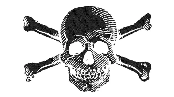 Jolly Roger Illüstrasyon Kafatası Çapraz Kemik Sembolü — Stok fotoğraf