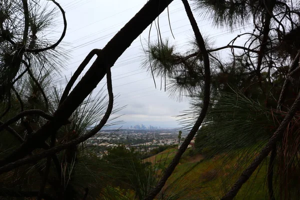 Los Angeles Detaljrik Utsikt Över Kenneth Hahns Fritidsområde State Park — Stockfoto