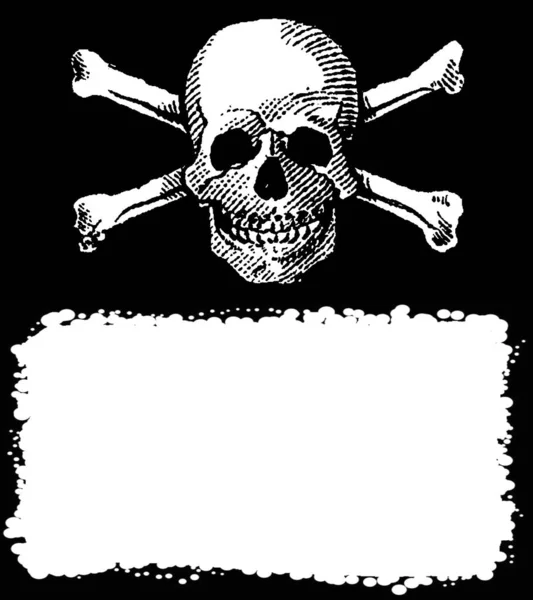 Jolly Roger Εικονογράφηση Κρανίο Και Σταυρωτά Οστά Σύμβολο — Φωτογραφία Αρχείου