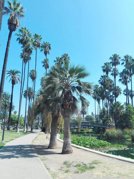 Los Angeles Kalifornia Września 2018 Echo Park Los Angeles Kalifornia — Zdjęcie stockowe