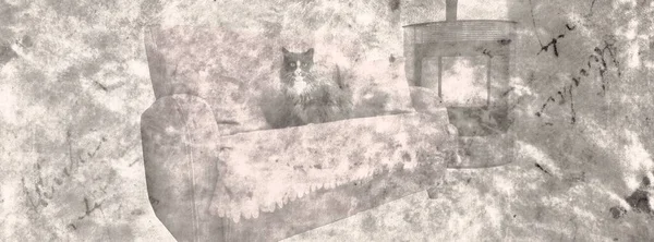 Gato Divertido Papel Pergamino Antiguo — Foto de Stock
