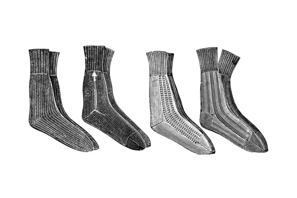 Vector Illustration Pair Women Socks — Stock Photo, Image