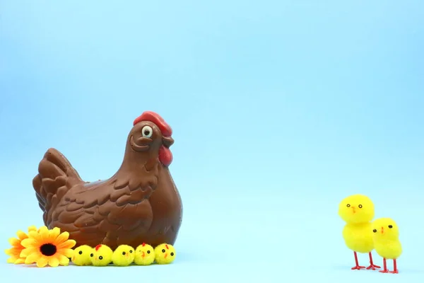 Ostern Schokolade Huhn Komposition — Stockfoto