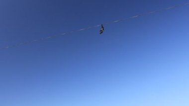 Yüksek topuklu ayakkabılar elektrik kablosunda asılı