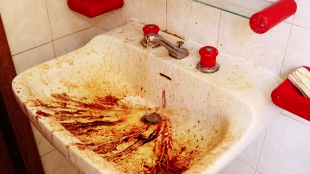 Frygtelig Beskidt Elendig Badeværelse Vask – Stock-video