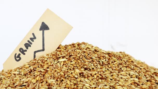 Kriz Nedeniyle Tahıl Borsa Fiyat Etiketi Yükselen Tahıl — Stok video