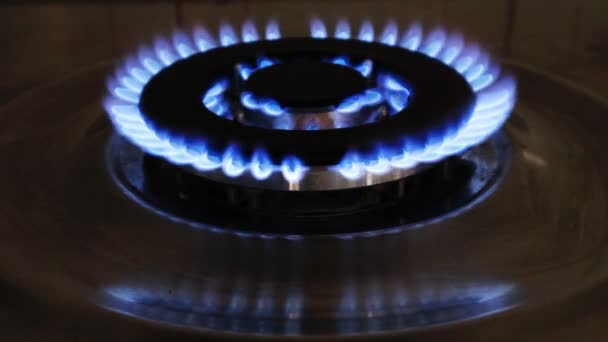 ガスの燃える炎を持つガス調理器 青い炎が燃える家庭用キッチン — ストック動画