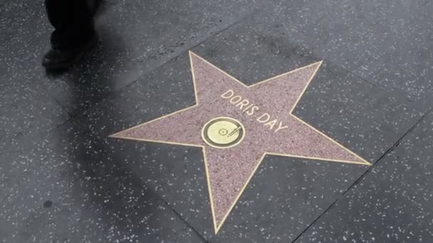 Hollywood Kalifornien Maj 2019 Star Doris Day Hollywood Walk Fame — Stockvideo