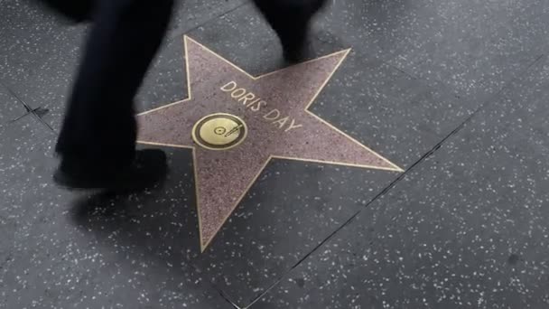 Hollywood Kalifornie Května 2019 Star Doris Day Hollywood Walk Fame — Stock video
