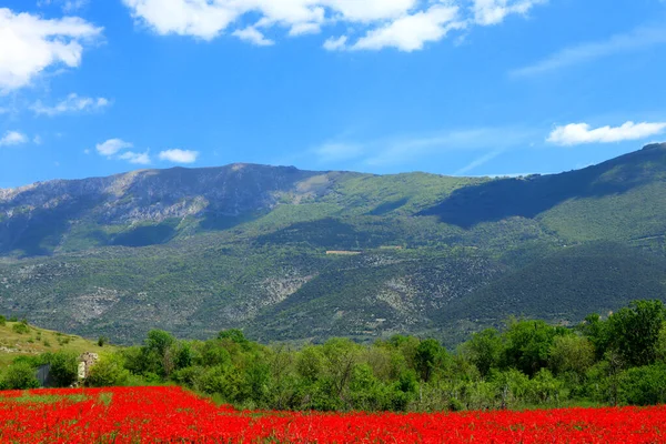 Prachtig Landschap Met Rode Bloemen Groene Bergen Achtergrond — Stockfoto