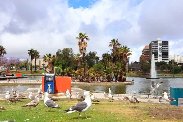 stock image Los Angeles, California - May 16, 2019: view of MacArthur Park located in the Westlake neighborhood of Los Angeles