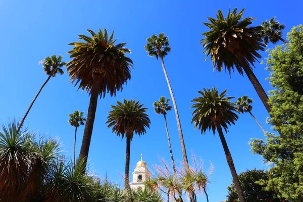 Beverly Hills California May 2019 Beverly Hills Cactus Garden Beverly — 图库照片