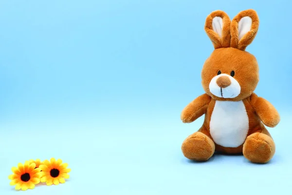 Composição Engraçada Páscoa Com Teddy Bunny — Fotografia de Stock