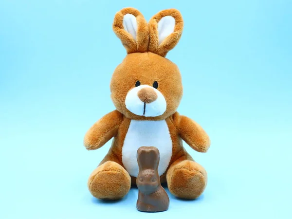 stock image Funny Easter Composition with Teddy Bunny