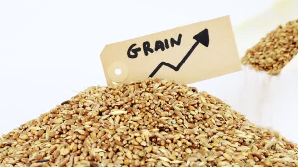 Kriz Nedeniyle Tahıl Borsa Fiyat Etiketi Yükselen Tahıl — Stok video