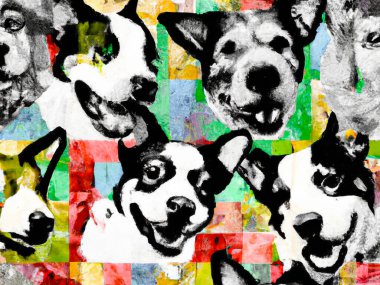 Dog faces, collage black and white and colours elements - Digital Abstract background Illustration