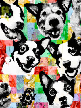 Dog faces, collage black and white and colours elements - Digital Abstract background Illustration
