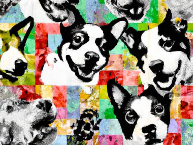 Dog faces, collage black and white and colours elements - Digital Abstract background Illustration