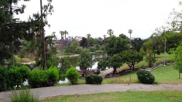 Los Angeles Kalifornien Usa Maj 2023 Hollenbeck Park Ligger Hörnet — Stockfoto