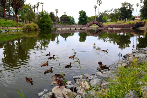 Los Angeles Califórnia Eua Maio 2023 Hollenbeck Park Localizado Esquina — Fotografia de Stock