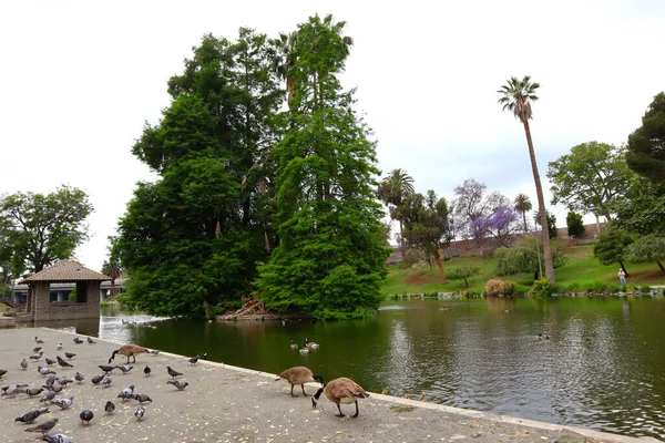 Los Angeles Kalifornie Usa Května 2023 Hollenbeck Park Nachází Rohu — Stock fotografie