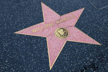 ABD, CALIFORNIA, HOLYWOOD - 20 Mayıs 2019: William DeMille Hollywood Şöhret Yolu, Kaliforniya 