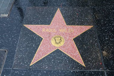 ABD, CALIFORNIA, HOLYWOOD - 20 Mayıs 2019: Hollywood, Kaliforniya 'daki Hollywood Şöhret Yolu' nda Raoul Walsh yıldızı 