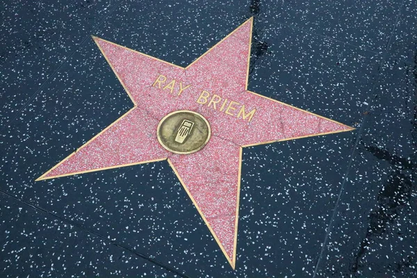 Usa California Hollywood May 2019 Ray Briem Star Hollywood Walk — Stock Photo, Image
