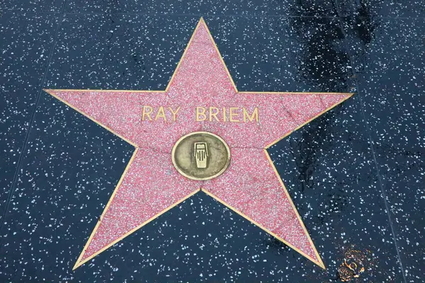 Usa California Hollywood May 2019 Ray Briem Star Hollywood Walk — Stock Photo, Image