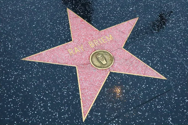 Usa Kalifornien Hollywood Maj 2019 Ray Briem Stjärna Hollywood Walk — Stockfoto