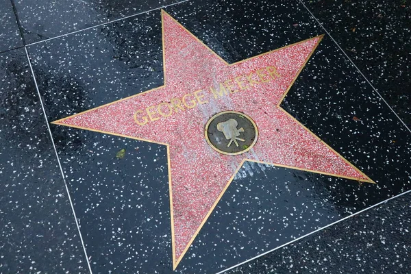Usa California Hollywood Května 2019 Hvězda George Meekera Hollywood Walk — Stock fotografie