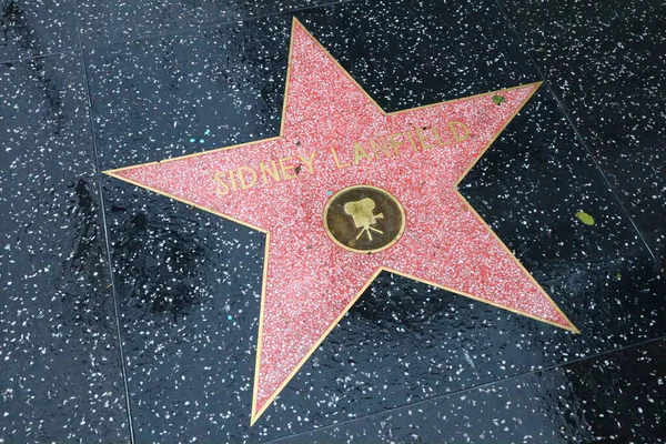 Usa Kalifornia Hollywood Maja 2019 Sidney Lanfield Gwiazda Hollywood Walk — Zdjęcie stockowe