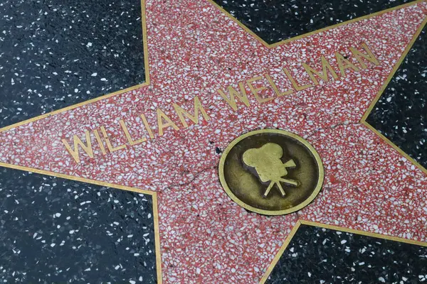 Usa Kalifornien Hollywood Maj 2019 William Wellman Stjärna Hollywood Walk — Stockfoto