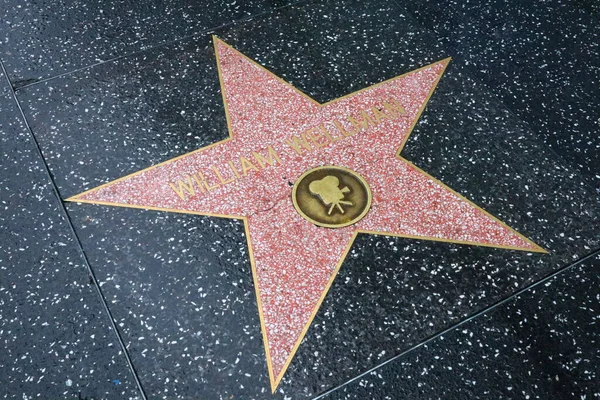 Сша California Hollywood Травня 2019 Року Зірка Вільяма Велмана Голлівудській — стокове фото