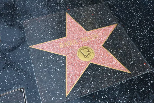 Usa California Hollywood Toukokuuta 2019 Raoul Walsh Tähti Hollywood Walk — kuvapankkivalokuva