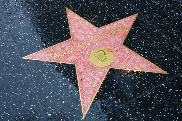 カリフォルニア州 カリフォルニア州ハリウッド ウォーク フェイムのタール バンクヘッドスター — ストック写真