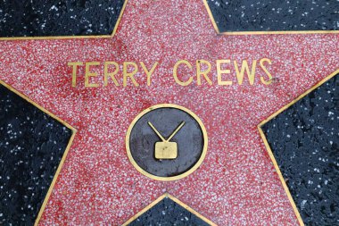 ABD, CALIFORNIA, HOLYWOOD - 20 Mayıs 2019: Hollywood, Kaliforniya 'daki Hollywood Şöhret Yolu' nda Terry Crews yıldızı 