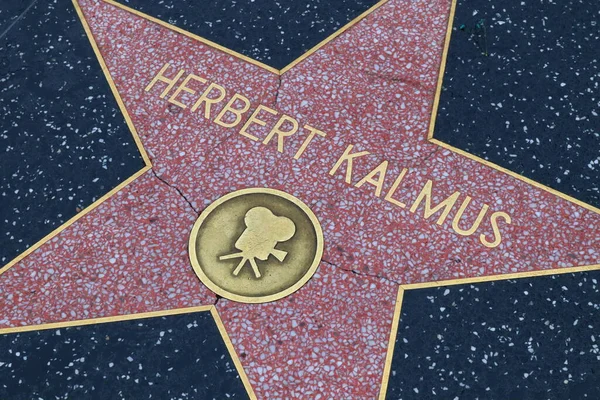 ABD, CALIFORNIA, HOLYWOOD - 18 Nisan 2019: Herbert Kalmus Hollywood Şöhret Yolu, Kaliforniya 