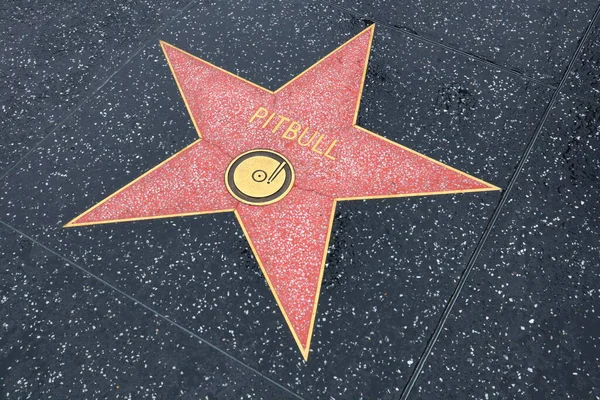 Usa California Hollywood Dubna 2019 Pitbull Star Hollywood Walk Fame — Stock fotografie