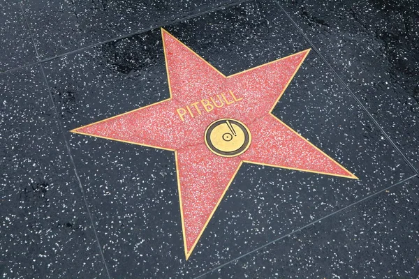 California Hollywood Abril 2019 Pitbull Estrella Paseo Fama Hollywood Hollywood — Foto de Stock