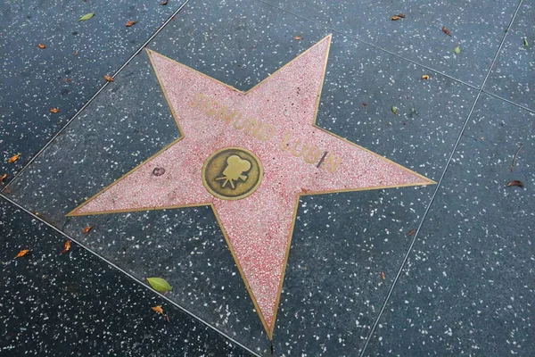 加利福尼亚州 好莱坞 2019年5月20日 西格蒙德 鲁宾在好莱坞名人堂中的明星 — 图库照片