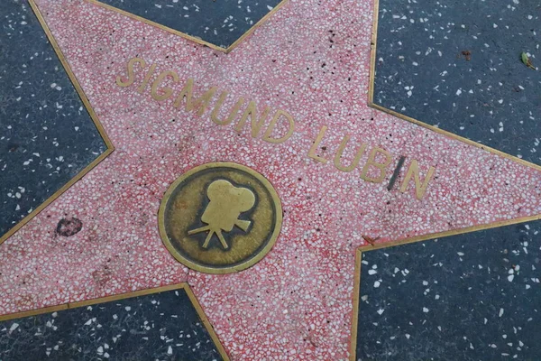 Usa California Hollywood May 2019 Sigmund Lubin Star Hollywood Walk — Stock Photo, Image