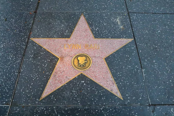 アメリカ合衆国 カリフォルニア州 ハリウッド ウォード 2019年5月20日 カリフォルニア州ハリウッド ウォーク フェイムのリン バーリスター — ストック写真