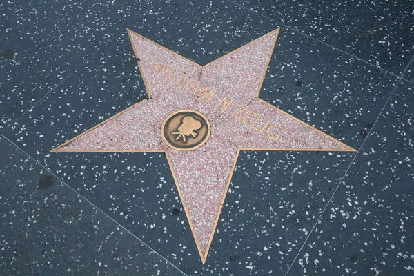 加利福尼亚州 好莱坞 2019年5月20日 塞利格在好莱坞名人堂中的明星 — 图库照片