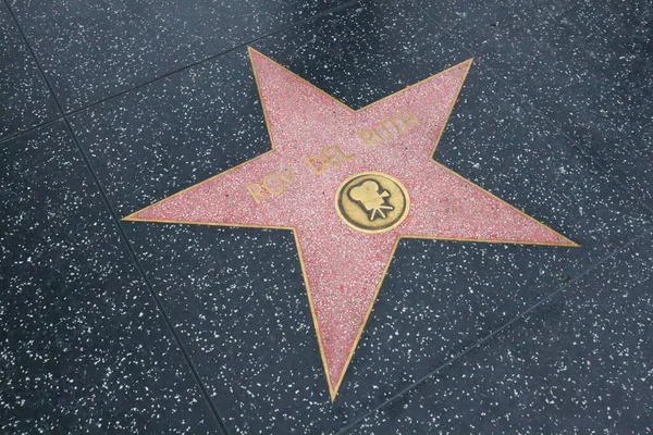 加利福尼亚州 霍利伍德 2019年5月20日 德尔鲁斯在加利福尼亚州好莱坞的好莱坞名人步行街上的明星 — 图库照片